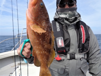 鯛紅丸 釣果