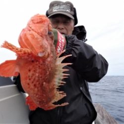鯛紅丸 釣果