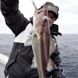 鯛紅丸 釣果