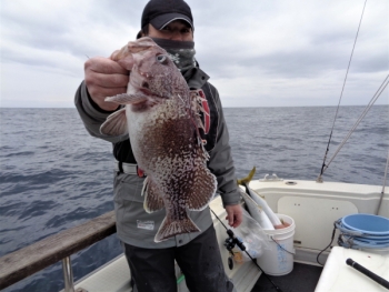 鯛紅丸 釣果
