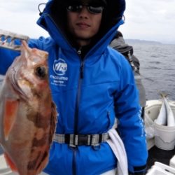 鯛紅丸 釣果