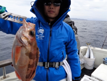 鯛紅丸 釣果