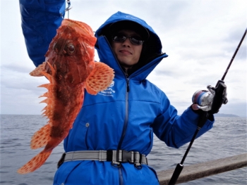 鯛紅丸 釣果