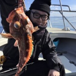 鯛紅丸 釣果
