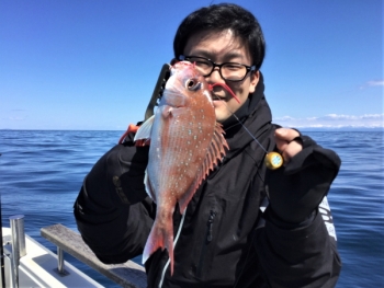鯛紅丸 釣果