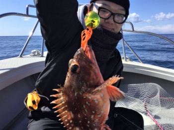 鯛紅丸 釣果