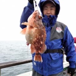 鯛紅丸 釣果
