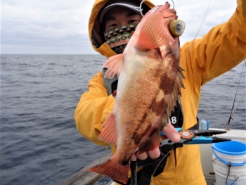 鯛紅丸 釣果