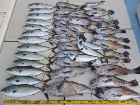 Hit Rush(ヒット ラッシュ） 釣果…