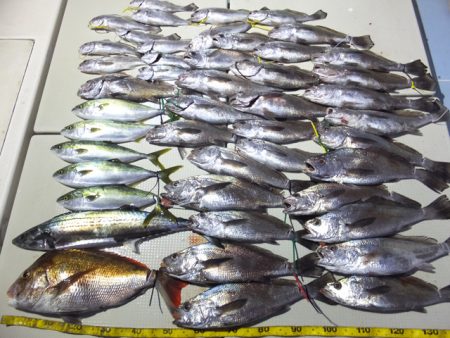 Hit Rush(ヒット ラッシュ） 釣果…