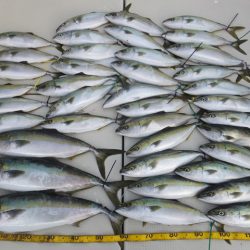 Hit Rush(ヒット ラッシュ） 釣果