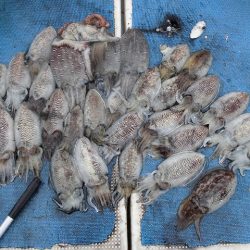 十八宝洋丸 釣果