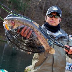小菅トラウトガーデン 釣果