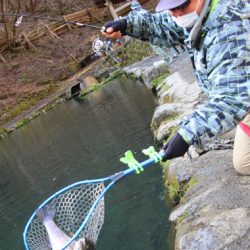 小菅トラウトガーデン 釣果