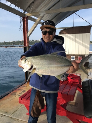 本部釣りイカダ 釣果