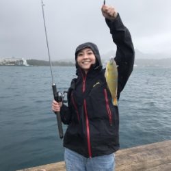 本部釣りイカダ 釣果