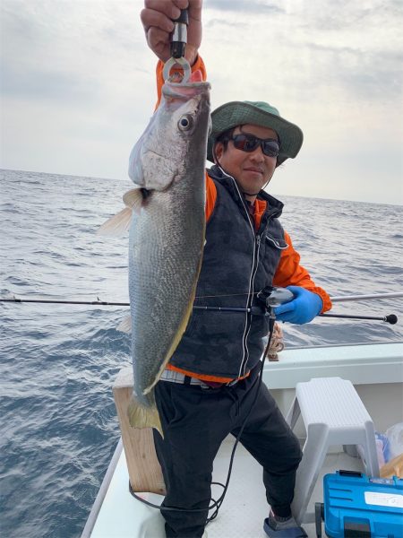 マタウマリンサービス 釣果