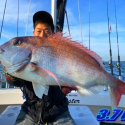 オーシャンマスター 釣果