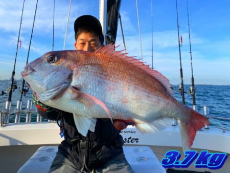 オーシャンマスター 釣果
