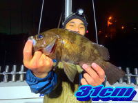 オーシャンマスター 釣果