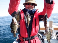 遊漁船 幸友丸 釣果