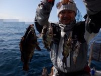 遊漁船 幸友丸 釣果