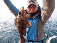 遊漁船 幸友丸 釣果