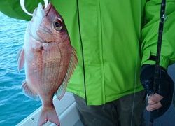 愛裕南丸 釣果