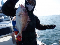 遊漁船 幸友丸 釣果