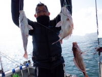 遊漁船 幸友丸 釣果