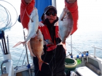 遊漁船 幸友丸 釣果