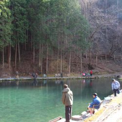 小菅トラウトガーデン 釣果