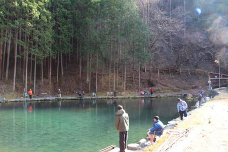小菅トラウトガーデン 釣果