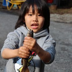 小菅トラウトガーデン 釣果