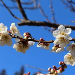 小菅トラウトガーデン 釣果