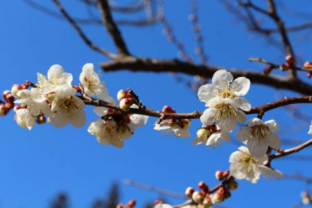 小菅トラウトガーデン 釣果