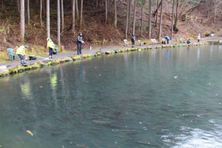 小菅トラウトガーデン 釣果