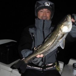 ルアー船マヒマヒ 釣果