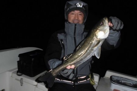 ルアー船マヒマヒ 釣果
