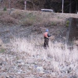 大井川（大井川(非)漁業協同組合） 釣果