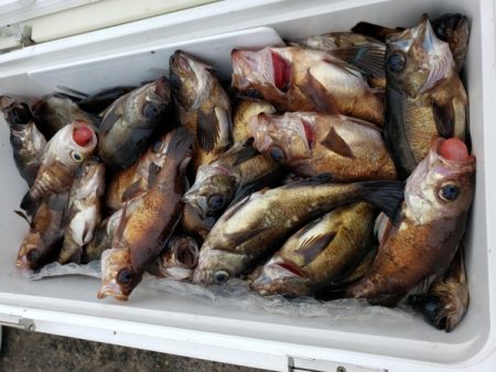 オーフリー 釣果