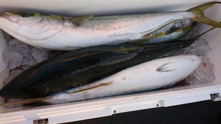 海龍丸（福岡） 釣果