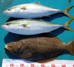 アジアマリンサービス 釣果