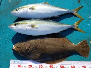 アジアマリンサービス 釣果