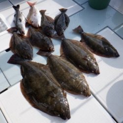 遊漁船 幸友丸 釣果