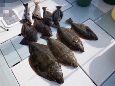 遊漁船 幸友丸 釣果