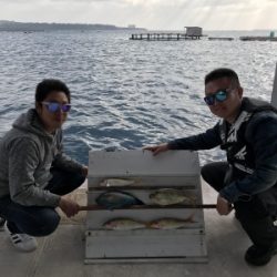 本部釣りイカダ 釣果