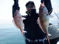 遊漁船 幸友丸 釣果