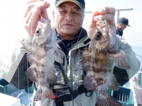 遊漁船 幸友丸 釣果