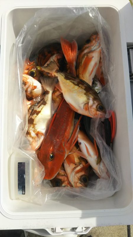 モンロー号 釣果